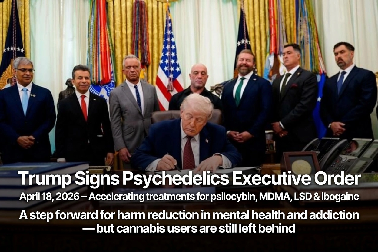 Trump Signs Psychedelics Executive Order: What It Means for Harm Reduction — and Why Some Are Still Left Behind